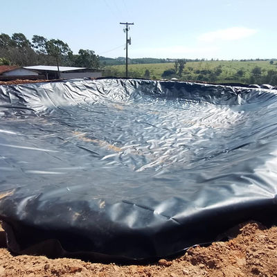 Planche de revêtement de la géomembrane en HDPE de 0,5 mm pour la ferme contemporaine