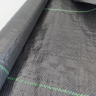 40 gm-230 gm Agriculture Tissu de couverture de sol en PP pour le contrôle des mauvaises herbes dans le jardin de fraises