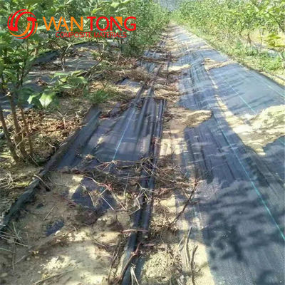 40 gm-230 gm Agriculture Tissu de couverture de sol en PP pour le contrôle des mauvaises herbes dans le jardin de fraises