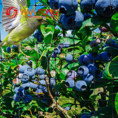 Service de coupe Réseau anti-oiseaux pour les plantes et les arbres fruitiers Protection contre les parasites