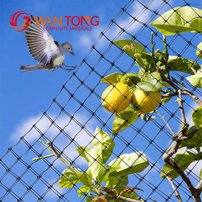 Service de coupe Réseau anti-oiseaux pour les plantes et les arbres fruitiers Protection contre les parasites