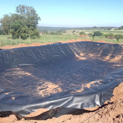 Réservoir d'élevage de crevettes géomembrane HDPE de 2 à 8 m de largeur et 100% de matériau vierge