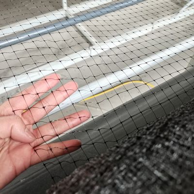 12 grammes de filet en plastique en PP pour les poulets anti-oiseaux dans les vergers et les vignobles