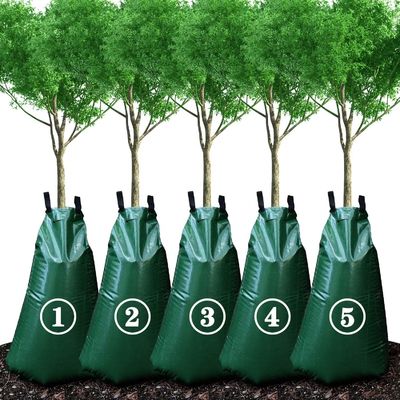 Système d'irrigation automatique par goutte à goutte