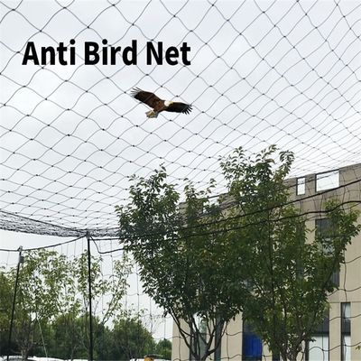 Réseau anti-oiseaux pour poulet dans le jardin du verger du vignoble BOP PP en plastique 2 cm