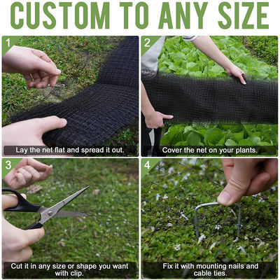 Protégez votre jardin avec des filets en plastique de coupe Agriculture Réseau anti-oiseaux UV 25g/m2
