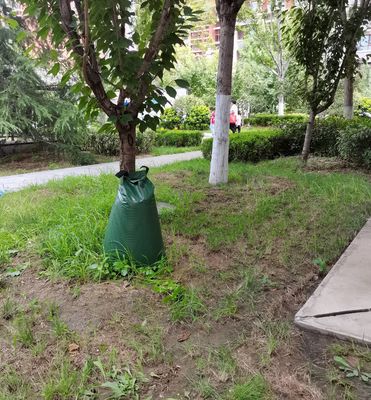 Sacs de plantation d'arbres de 15 à 20 gallons avec tissu en PVC et fonction d'arrosage à libération lente