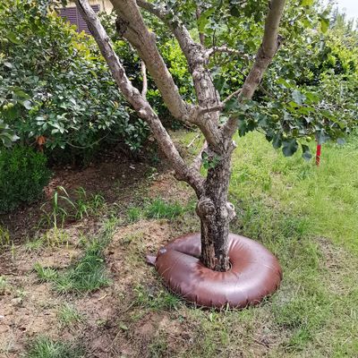 Sac d'arrosage pour arbres à haute dureté de surface pour l'irrigation automatique et réglable par goutte à goutte