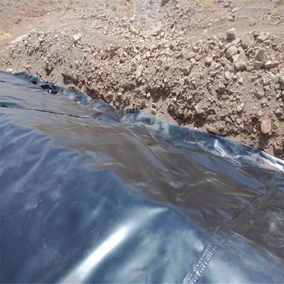 Liner de géomembrane en plastique de polyéthylène pour étang d'eau de style chinois