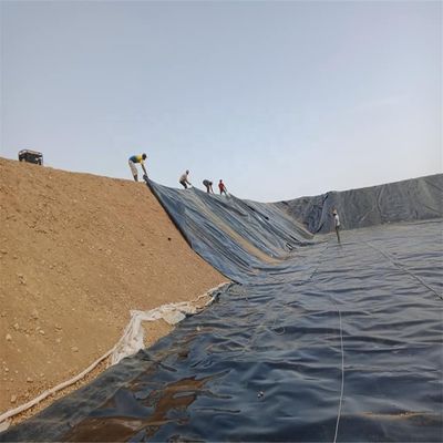Liner de géomembrane en plastique de polyéthylène pour étang d'eau de style chinois