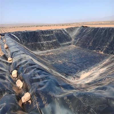 Liner de géomembrane en plastique de polyéthylène pour étang d'eau de style chinois