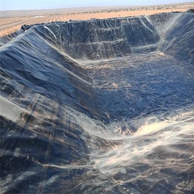 Liner de géomembrane en plastique de polyéthylène pour étang d'eau de style chinois