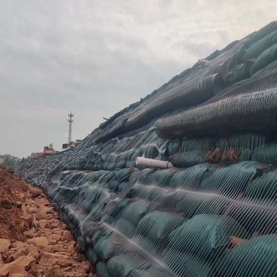 Géoréseaux en plastique HDPE unidirectionnels pour géoréseaux uniaxiens
