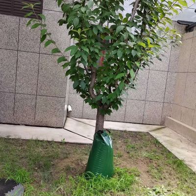 Verte 2 paquets 15 gallons à libération lente irrigation par goutte-à-goutte à l'arbre Sac d'arrosage CE/ISO approuvé