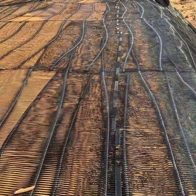 50 m de longueur HDPE/PP Géogrid uniaxial en plastique pour le renforcement des structures de maintien