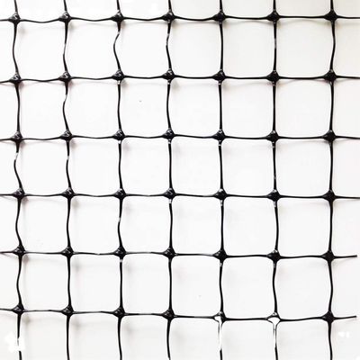 1.5cm Maillage 27gm PP Anti Bird Net pour les raisins ou les arbres fruitiers Longueur personnalisée