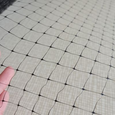 1.5cm Maillage 27gm PP Anti Bird Net pour les raisins ou les arbres fruitiers Longueur personnalisée