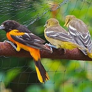Réseau anti-oiseaux à grande capacité certifié CE ISO