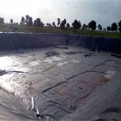 0.5 mm-3.0 mm Géomembranes pour l'agriculture Matériau en PEVDP/PEVDP/PVC/PEVDP imperméable