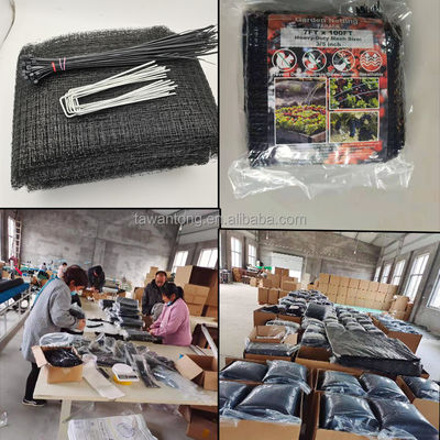7*100ft Matériau PP Maillage extrudé Réseau anti taupe Réseau en plastique noir pour l'agriculture