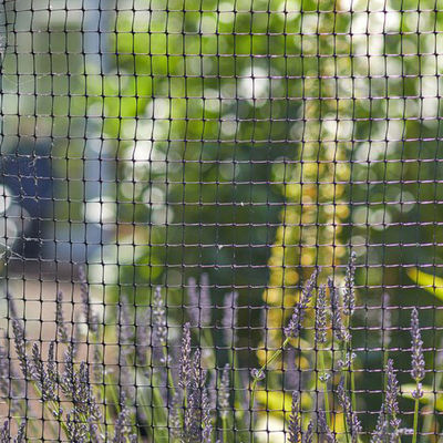 Longueur personnalisée PP Post agricole Horticulture Bop Net Jardin de cerf Lapin Mesh Clôture CE ISO
