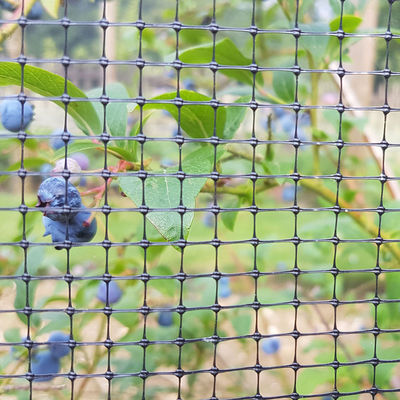 Longueur personnalisée PP Post agricole Horticulture Bop Net Jardin de cerf Lapin Mesh Clôture CE ISO