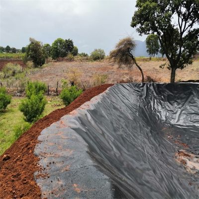 Géomembrane en HDPE de style chinois pour l'aquaculture
