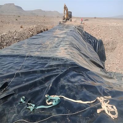 Géomembrane en HDPE de style chinois pour l'aquaculture
