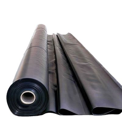 Poissons d'élevage d'étangs de piscines Liner 1 mm HDPE géomembrane avec 100% de matériau vierge HDPE