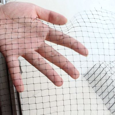 Réseau anti-oiseaux en PP UV-traité de couleur personnalisée pour l'élevage de poulets et l'étang de poissons de jardin
