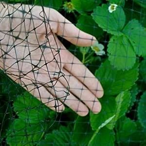 Réseau anti-oiseaux en PP UV-traité de couleur personnalisée pour l'élevage de poulets et l'étang de poissons de jardin