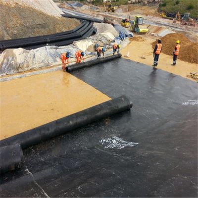 Géomembrane en plastique HDPE noir de 2 mm d'épaisseur pour élevage de poissons