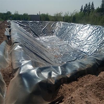 Atelier de géomembrane en HDPE à surface rugueuse, soufflage de film de 1,0 mm pour revêtement de barrage étanche