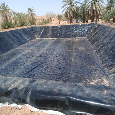 Atelier de géomembrane en HDPE à surface rugueuse, soufflage de film de 1,0 mm pour revêtement de barrage étanche