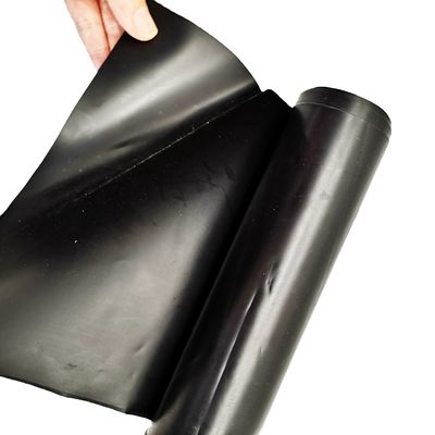 Géomembrane en HDPE noir pour le revêtement d'étang de barrage de poisson dans le style de conception chinois et 0,1-4 mm