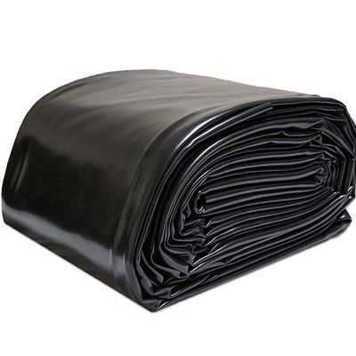 Géomembrane en HDPE noir pour le revêtement d'étang de barrage de poisson dans le style de conception chinois et 0,1-4 mm