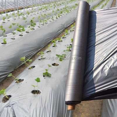 Film de paillis en plastique argenté pour la culture agricole de tomates et de pommes de terre
