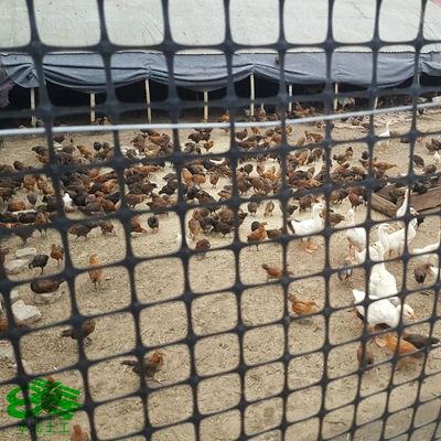 Géogrides géotextiles noires non tissées en plastique bi-axiale cousues anti-craqueries pour pavés d'asphalte