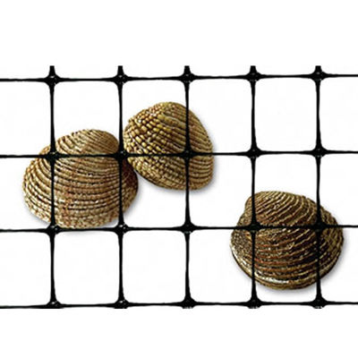 40-40kn PP Bi-axiale Géogrid plastique pour la construction de routes et le renforcement des fondations