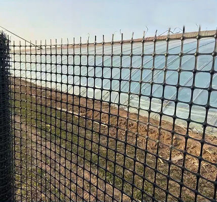 40-40kn PP Bi-axiale Géogrid plastique pour la construction de routes et le renforcement des fondations