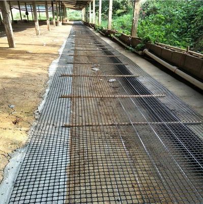PP 3030KN Géogrid bi-axiale pour la protection contre les pentes de la construction routière 12.7*12.7 mm Taille de maille