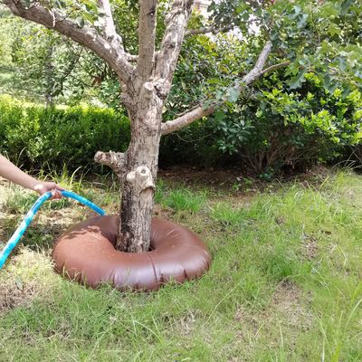 Un sac d'arrosage en PVC de 20 litres est la solution ultime pour les arbres nouvellement plantés