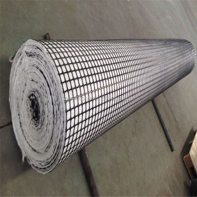 PP plastique géogrid composite PET géotextile non tissé pour le renforcement de ponts et de tunnels