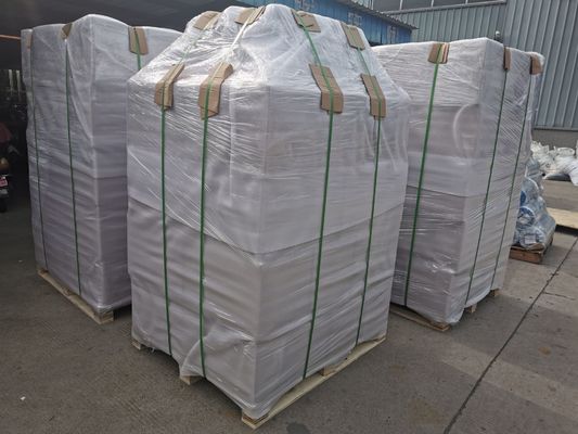 Sac d'arrosage en PVC de 20 gallons pour un soin optimal des arbres et des arbres forts