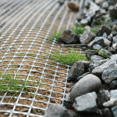 80-80 Géogrid PET pour la solidification du sol et la formation sur place