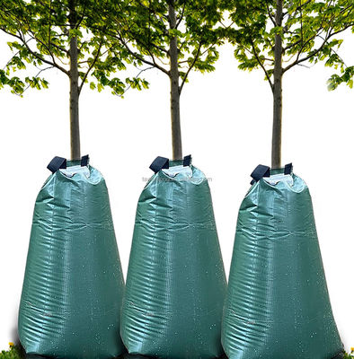 Des sacs d'arrosage en PVC vert de 20 gallons Le choix écologique pour les arbres nouvellement plantés