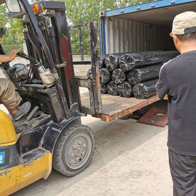 Géogrides en fibre de verre revêtues de bitume de 120 kn pour le renforcement des voies de 50 à 200 m de longueur