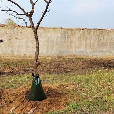 5 paquets de sacs d'arbre d'arrosage en PE sur Ebay