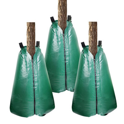 Réglage par goutte à goutte pour les arbres de 20 gallons