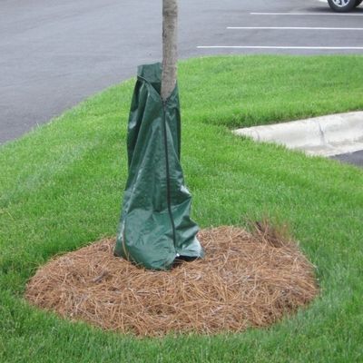 Système d'irrigation d'arbres à libération lente pour arbres à usage réutilisable épaisseur 0,43 mm